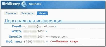 WebMoney Keeper Mini 