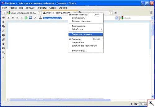 популярные браузеры Opera, Mozilla Firefox, и Google Chrome