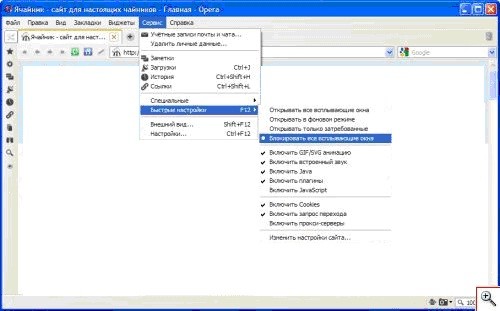 Удалять новые cookies при выходе из Opera
